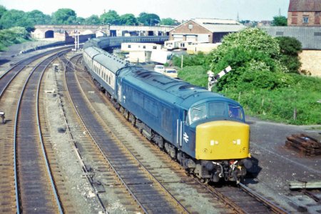 E2966870-8578-4DC4-8A75-D1AB9C143BDF.jpg E2966870-8578-4DC4-8A75-D1AB9C143BDF.jpg