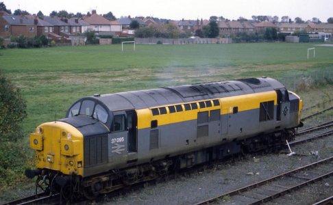 A41D9E99-13DD-4DC7-982E-7C66C106D9FB.jpg A41D9E99-13DD-4DC7-982E-7C66C106D9FB.jpg