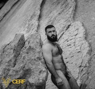 Cerf Photography pic_6.jpg