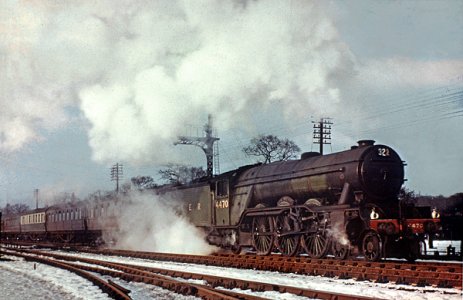 A984CC21-8D08-4778-837D-F43E4FF187F1.jpeg A984CC21-8D08-4778-837D-F43E4FF187F1.jpeg