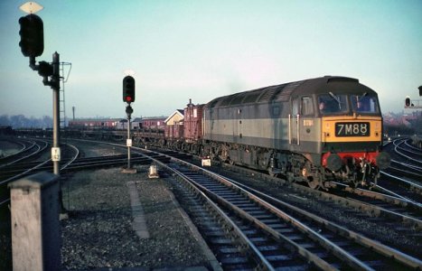 ADD2223C-35AD-48ED-8F5C-DA13DE5B2611.jpg ADD2223C-35AD-48ED-8F5C-DA13DE5B2611.jpg