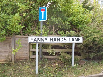 fannyhandslane.jpg