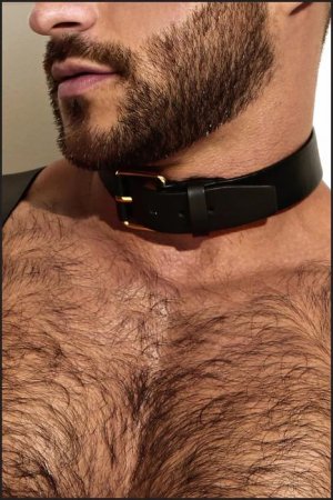 neck-harness-front-buckle.jpg