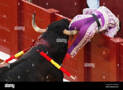 spanish-banderiller-pedro-muriel-is-gored-by-a-bull-during-a-bullfight-at-the-malagueta-bullring.jpg