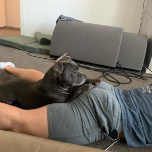 Tim J Perry and Indi 87715845.jpg