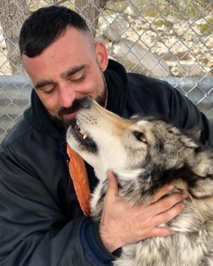 William August Cullen and a wolf 51712109.jpg