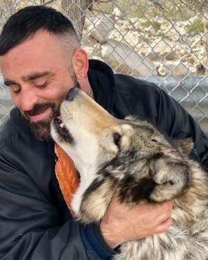 William August Cullen and a wolf 51746462.jpg