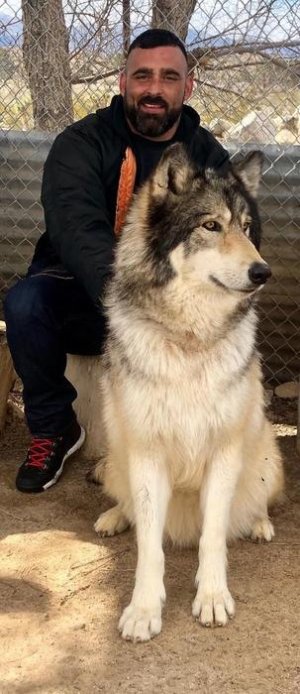 William August Cullen and a wolf 51978530.jpg