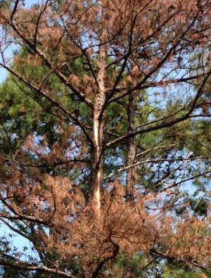 Screen Shot 2022-08-24 at 8.07.10 PM.jpg