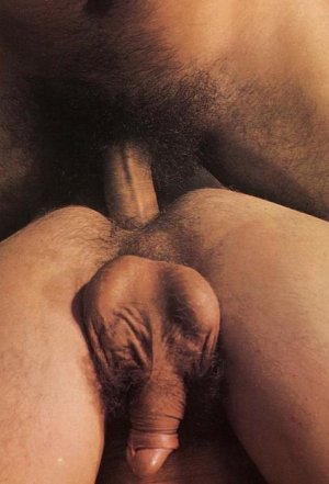 fk bush uT1qd11kxo1_1280.jpg