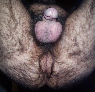 furry ass Dlw1qgruyto1_500.jpg