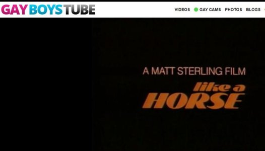 LIke a Horse title.jpg