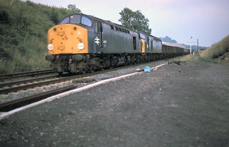 689C296B-1DA5-418C-AF0F-645EB2144664.jpg 689C296B-1DA5-418C-AF0F-645EB2144664.jpg