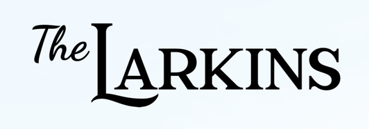 The_Larkins_2021_TV_series_logo.png