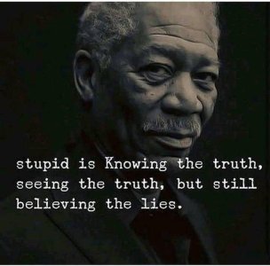 stupid is.jpg