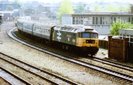 4318AEEB-CA78-47CC-A803-20AFE0091A28.jpg 4318AEEB-CA78-47CC-A803-20AFE0091A28.jpg