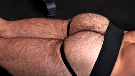 ass furrm81qg7j2mo1_1280.jpg