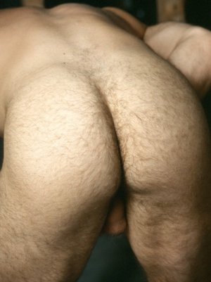 ass hairy u1nqwSQ71qeuthyo1_500.jpg