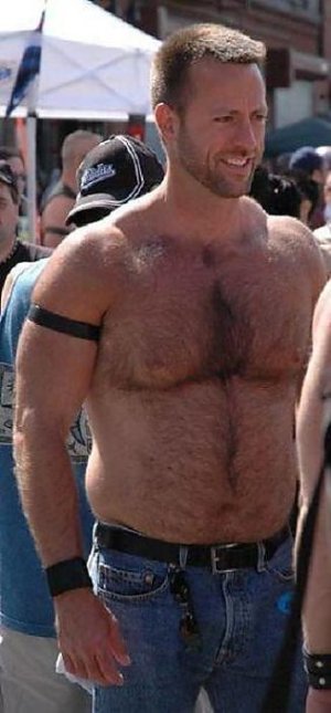 Nice Looking Bear.jpg