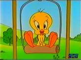 tweety.jpg