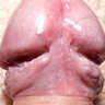 Pollicino1