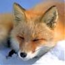 FattyMcFox