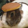 pancake