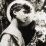 LittleDove