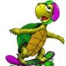turtle_5731