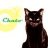 chatolandia