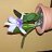clicker
