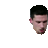 Peloso