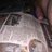Newspaperlover