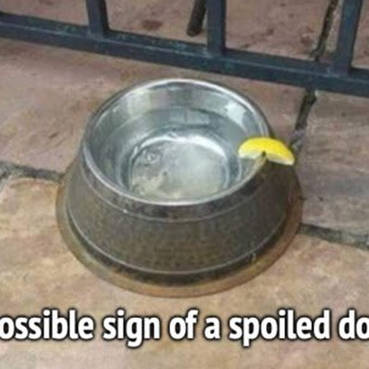 Thread 'The post something funny thread'