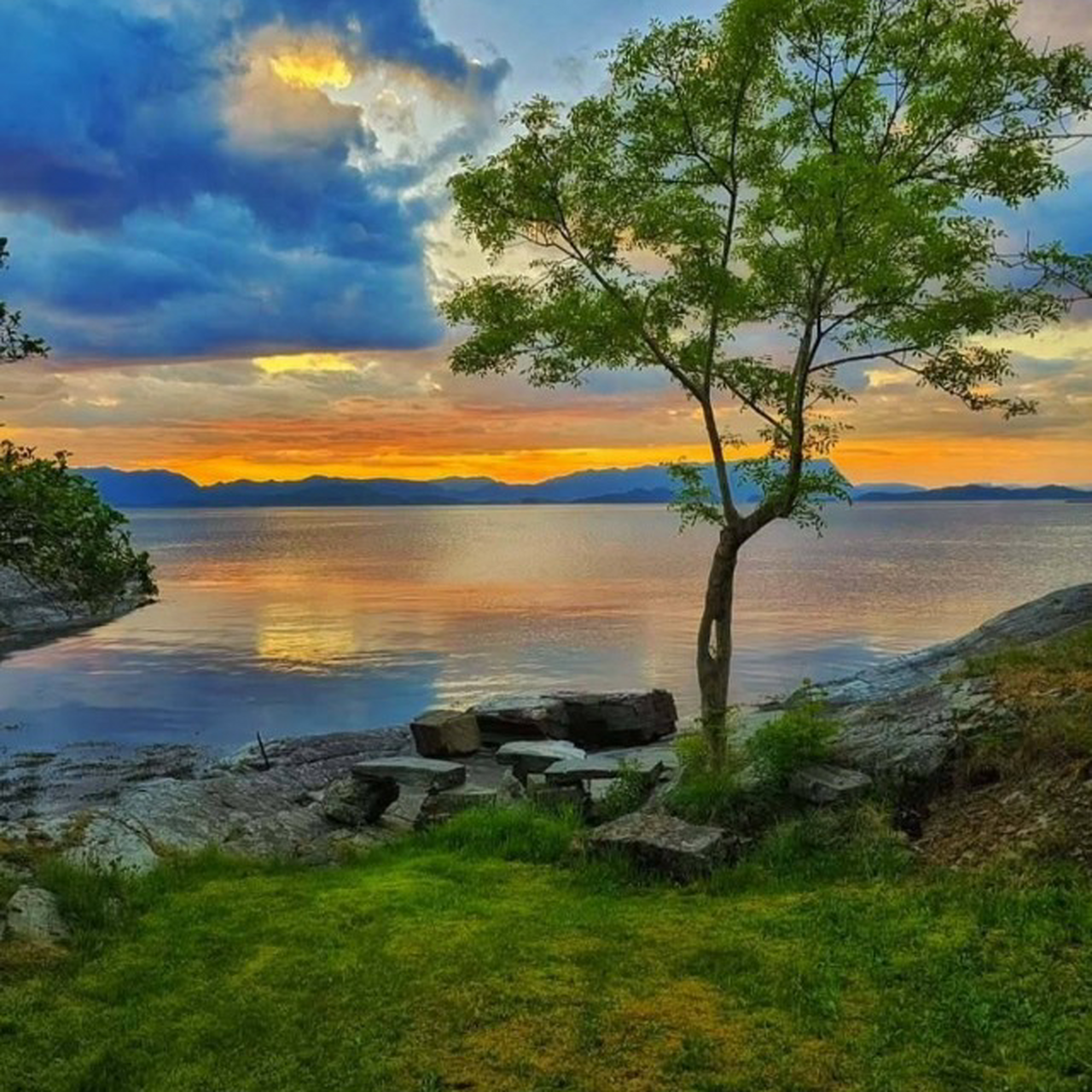 Thread 'The Magnificent Splendour Never Dies.'